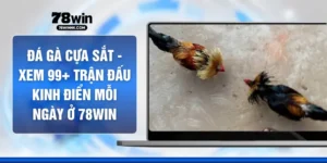 Đá Gà Cựa Sắt - Xem 99+ Trận Đấu Kinh Điển Mỗi Ngày ở 78WIN