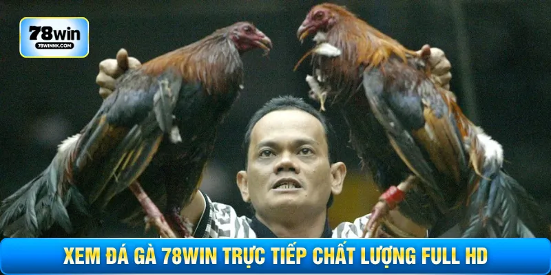 Xem đá gà 78WIN trực tiếp chất lượng Full HD